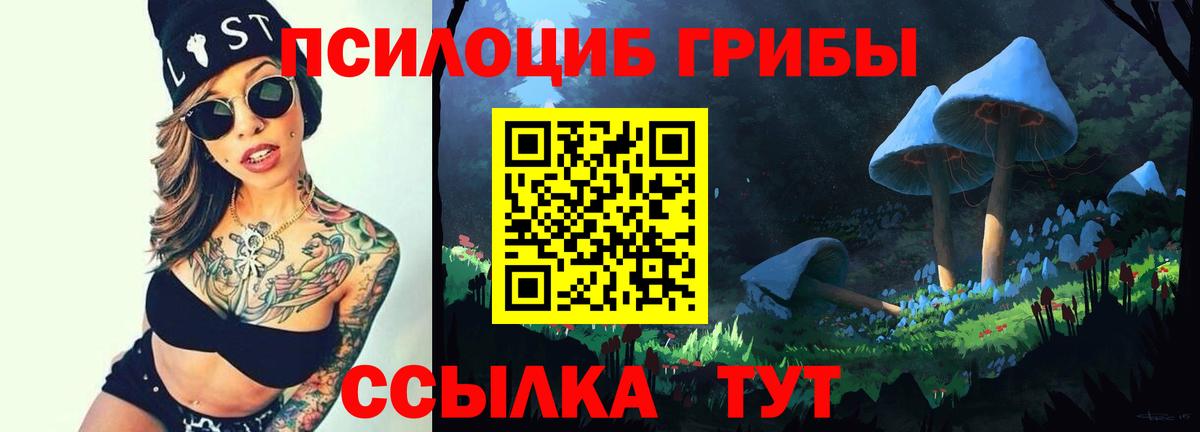 Псилоцибиновые грибы ЛСД  Вход с VPN  Вышний Волочёк 
